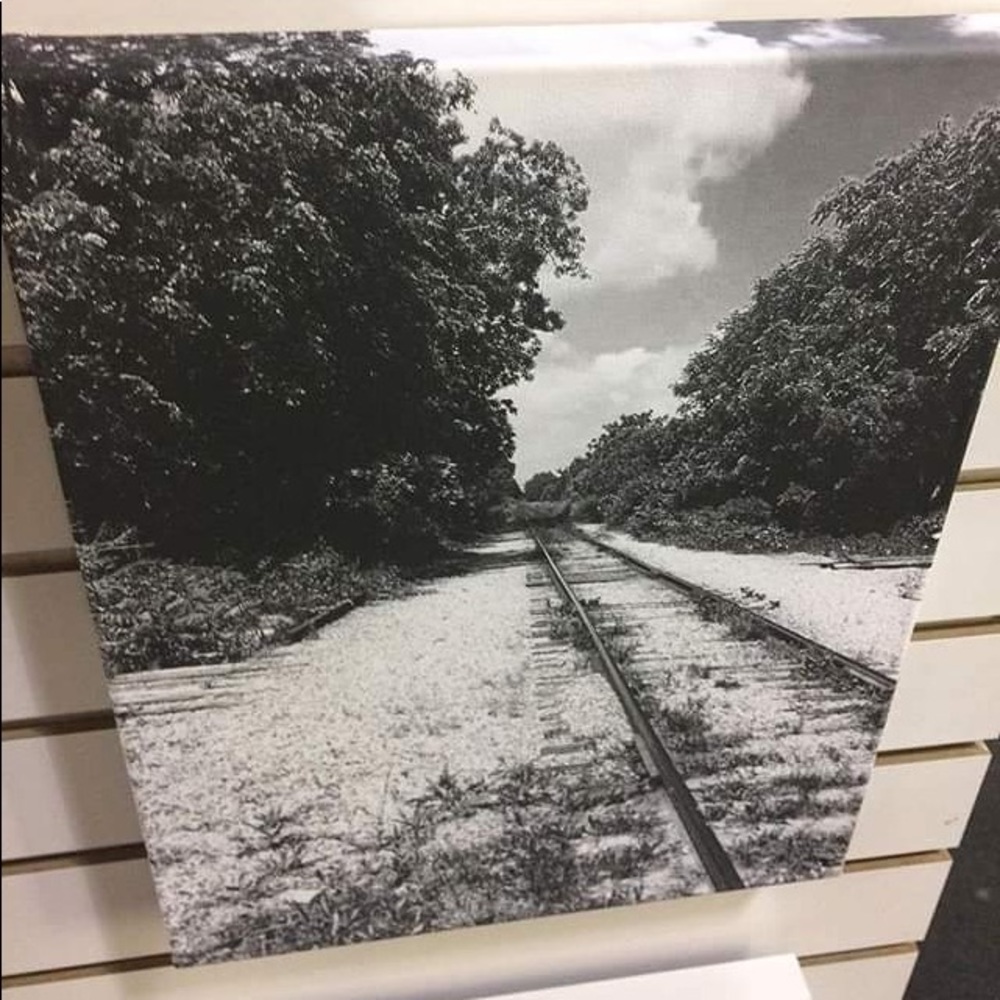 Photograph wall art